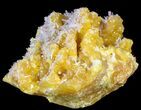 Sulfur and Celestine (Celestite) Crystal Association - Italy #62905-2